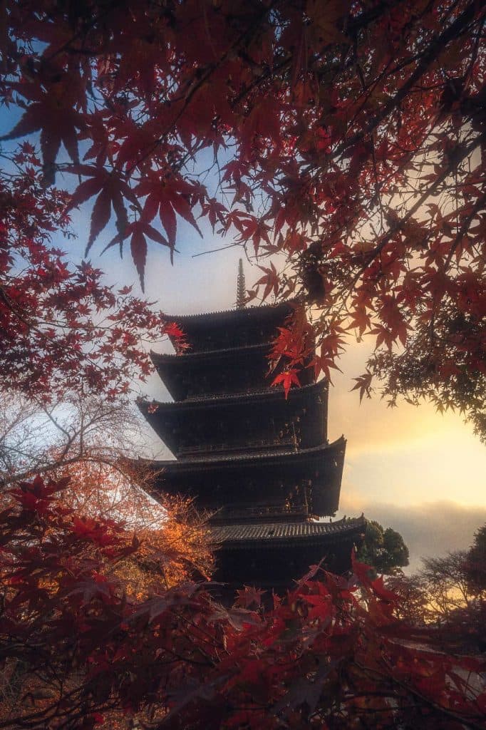 Toji Temple, Kyoto