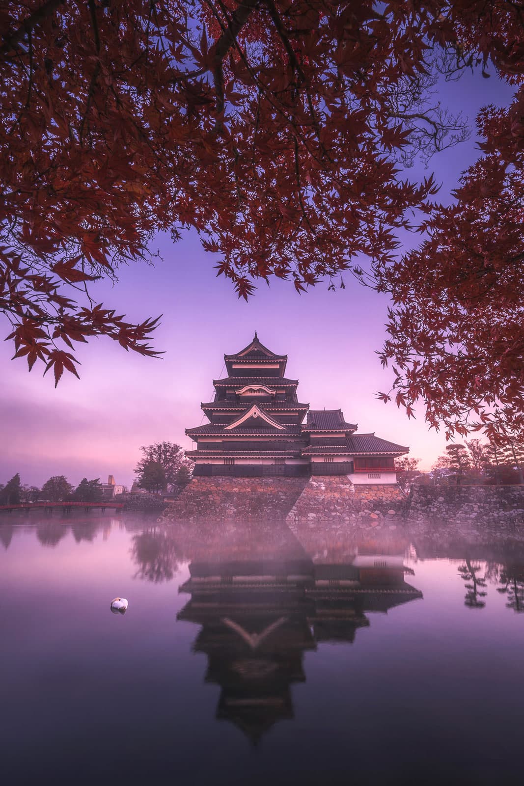 Matsumoto Castle framed by autumn maple leaves at dusk, Japan