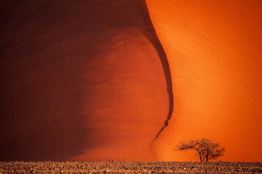 Namib Desert dunes